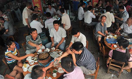 While some parts of China consider dogs as food, others areas enjoy keeping them as pets. Photo credit: Imaginechina/Rex Features
