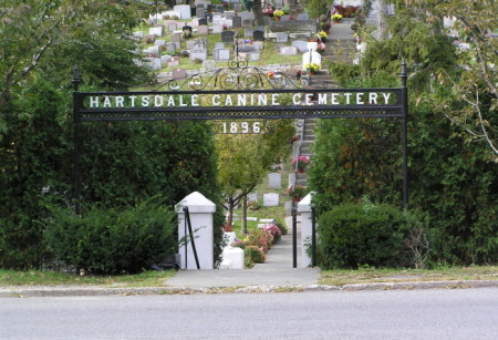 Many exotic pets, including a lion cub, rest at the Hartsdale Pet Cemetery. Photo credit: Wikipedia