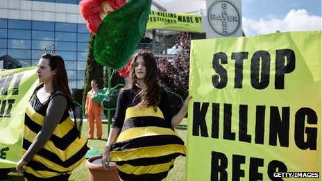 Stop Killing Bees protestors