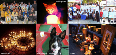People around the globe participate in candle-lighting ceremonies to honor orphaned pets. Photo credit: Animalcenter.org