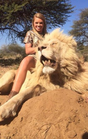 lion, africa, hunting, big game, kendall jones, texas tech