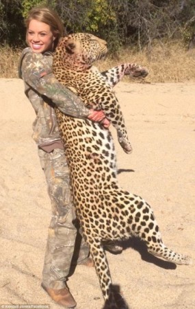 leopard, africa, hunting, animal rights, kendall jones, texas tech