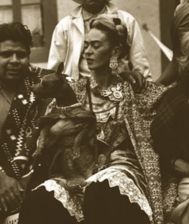 Pets, life with pets, paintings, Frida Kahlo