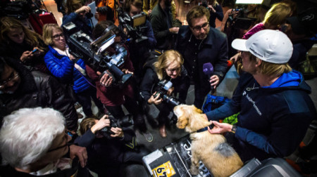 Arthur greets his admirers in his new home of Sweden. Photo Credit: Krister Goransson
