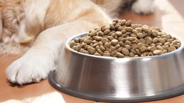 Some dogs eating Beneful have experienced Internal bleeding, diarrhea, seizures, and liver malfunction. Photo credit: ABC 7 Chicago