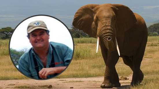 Ian Gibson had been tracking the elephant for five hours before being trampled to death. Photo Credit: AfricanHunting.com and Wikipedia/Paul Mannix - Elephant, Amboseli National Park, Kenya/Creative Commons