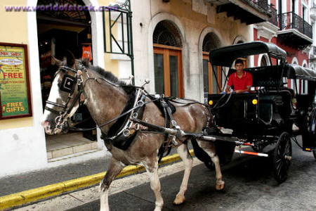 A family-owned business operated many of the horse-drawn carriages in San Juan. Photo credit: Jeff Greenberg