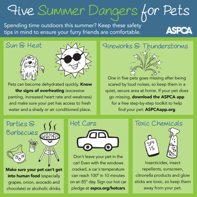 ASPCA Summer Infographic - top 5 summer heat hazards for pets