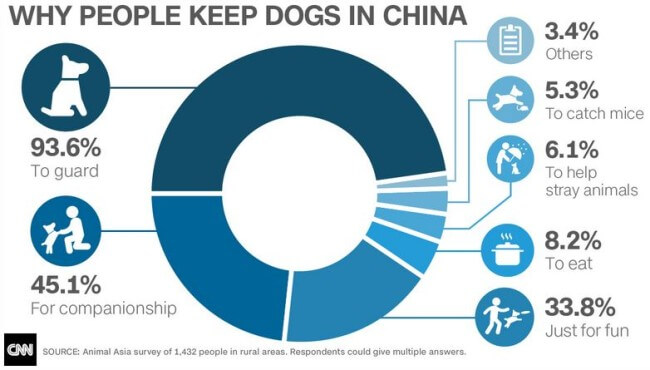 Why people have dogs in China -- yulin dog meat festival divides country
