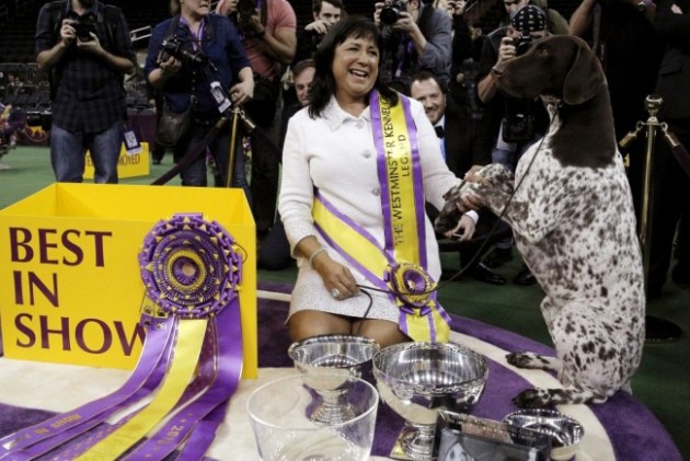 Handler Valerie Nunez Atkinson poses with CJ, a German shorthaired pointer from the Sporting Group, after they won Best in Show at the Westminster Kennel Club Dog show at Madison Square Garden in New York. Photo Credit: Brendan McDermid via Reuters