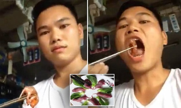 In a recent YouTube video, a man eats live mice with chopsticks. Photo Credit: dailymail.co.uk