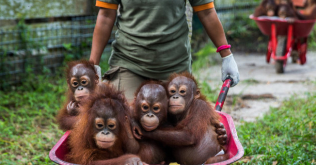 Photo Credit: The New York Times