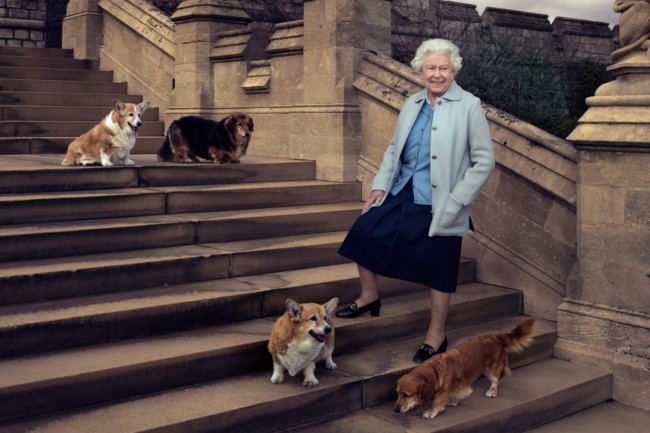 Queen Elizabeth II on the steps of the East Terrace at Windsor Castle with corgi Willow, dorgi Vulcan, corgi Holly, and dorgi Candy, in April. Photo Credit: Annie Leibovitz