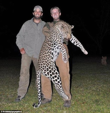 Donald Trump Jr., left, with his brother, Eric, carrying their trophy kill. Photo Credit: