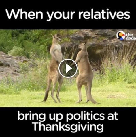 When Your Relatives Bring Up Politics At Thanksgiving