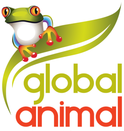 GLOBAL ANIMAL