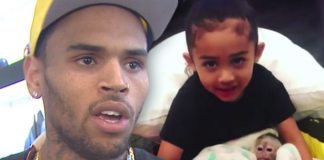 Chris Brown Could Face Jail Time Over Exotic Pet Monkey