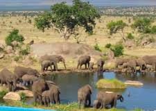 Safari Hotel In Tanzania Is Incredible