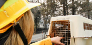 California Wildfire Relief: Your Donations At Work