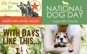 Put Your Paws Up For National Dog Day!