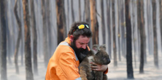 TAKE ACTION: With Over 1 Billion Animals Impacted By Australia’s Fires, Here’s How You Can Help