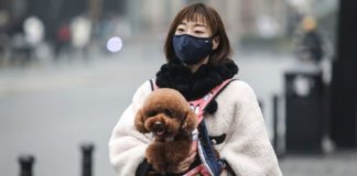 Coronavirus Leaves Thousands Of Pets Abandoned & Starving To Death